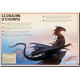 Le livre extraordinaire des Dragons, éditions Little Urban