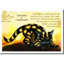 Carte postale de Séverine Pineaux : Novembre Chalamandre, carte postale Année des Chats chimériques