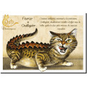 Carte postale de Séverine Pineaux : Février Challigator, carte postale Année des Chats chimériques