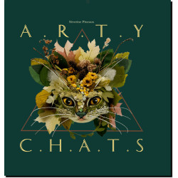 Arty Chats de Séverine Pineaux... et ses amis !
