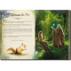 Le bel album illustré des Dames de Brocéliande de Sandrine Gestin, éditions Au Bord des Continents...