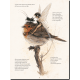 Celtic Faeries, The Secret Kingdom de Jean-Baptiste Monge, éd. Goblin's Way