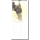 Calendrier perpétuel de Jean-Baptiste Monge : Tiny Lovely Faeries, éd. Goblin's way