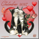 Calendrier de Séverine Pineaux : Chalendrier 2027 Chats enchantés, éd. Au Bord des Continents...