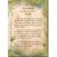 Petit Grimoire ensorcelé, Secrets de sorcières de Magali & Sara Mottet, éd. Au Bord des Continents...