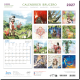 Calendrier de Brucero 2027, Légendes celtiques : Druide, éditions Jos