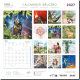 Calendrier de Brucero 2027, Légendes féeriques : Le petit chevalier, éditions Jos