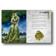 Page intérieure de Dryad, roman graphique écrit et illustré par Séverine Pineaux