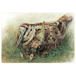 Carte Postale De Jean-Baptiste Monge, Lutin et la Bécasse