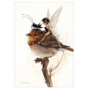 Carte Postale De Jean-Baptiste Monge, Fée et Rouge-gorge sur la Branche