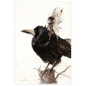 Fée Papillon sur la Corneille, carte postale de Jean-Baptiste Monge