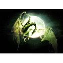 Carte Postale De Elian Black'Mor, Dragon Lune - Piste des Dragons