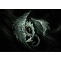 Dragon des Vents de Elian Black'Mor