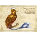Carte postale Janvier - Mois du Phénix de Séverine Pineaux