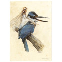 Fée sur le Martin-pêcheur de Jean-Baptiste Monge - Fées et Oiseaux
