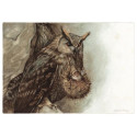Hibou au Panier de Jean-Baptiste Monge