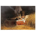 Boîte de Sardine de Jean-Baptiste Monge