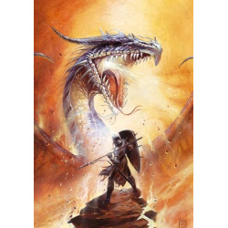 Owain défie le dragon de Didier Graffet