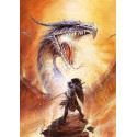 Owain défie le dragon de Didier Graffet