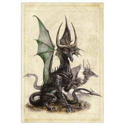 Affichette Dragon Noir de Séverine Pineaux