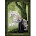 La Dame à la Licorne de Sandrine Gestin - Dames de Brocéliande