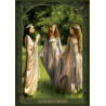Carte Postale Les Dames d'Avalon de la collection Dames de Brocéliande illustrée par Sandrine Gestin
