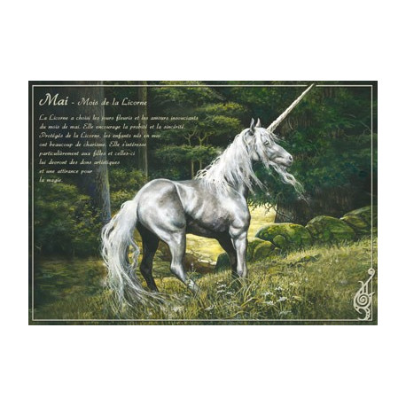 Mai - Mois de la licorne de Séverine Pineaux