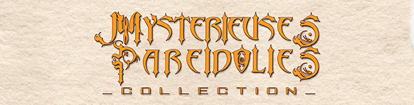 Mystérieuses Paréidolies de Christophe Dougnac